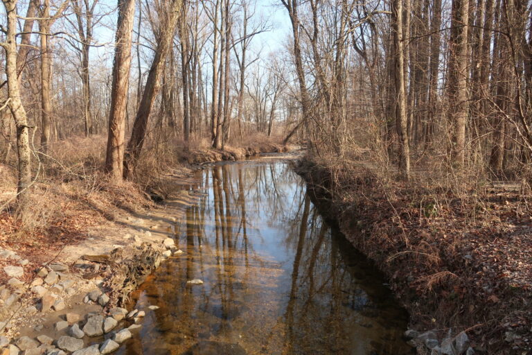 Bren Mar Park To Undergo Exciting Stream Restoration