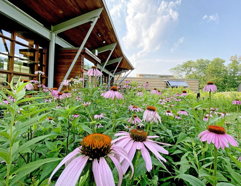 Celebrating 75 Years Of Environmental Stewardship At The Watershed Institute