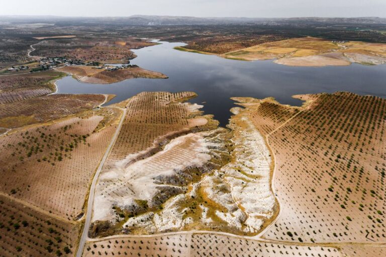 Combating Desertification In China: Understanding Causes, Effects, And Solutions