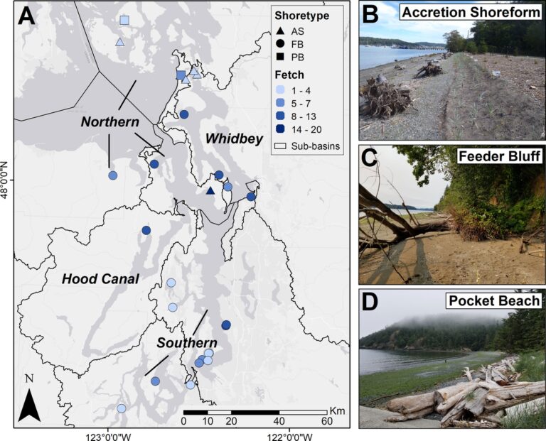 Enhancing Shoreline Restoration Through Coastal Landform Insights