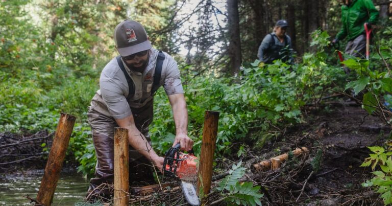 Enhancing Utah's Landscapes With A Creative Approach