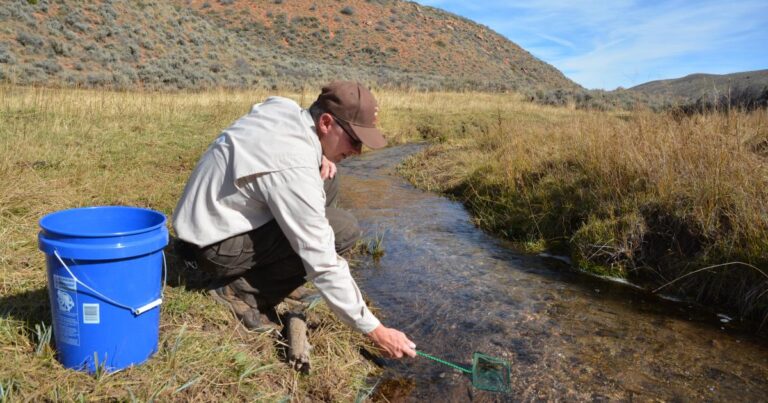 Harnessing Science And Teamwork For Effective Stream Restoration