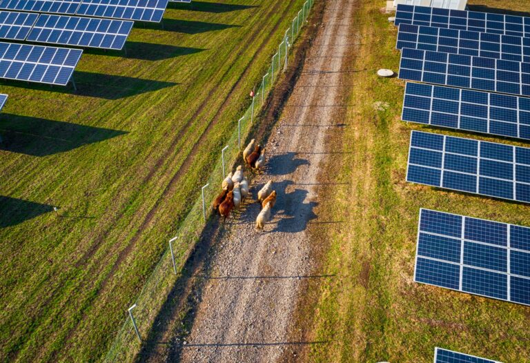 Harnessing Solar Power: Innovations In Land Use Planning