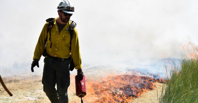 Highlighting Fire Recovery And Fuel Management In The Cosumnes Watershed