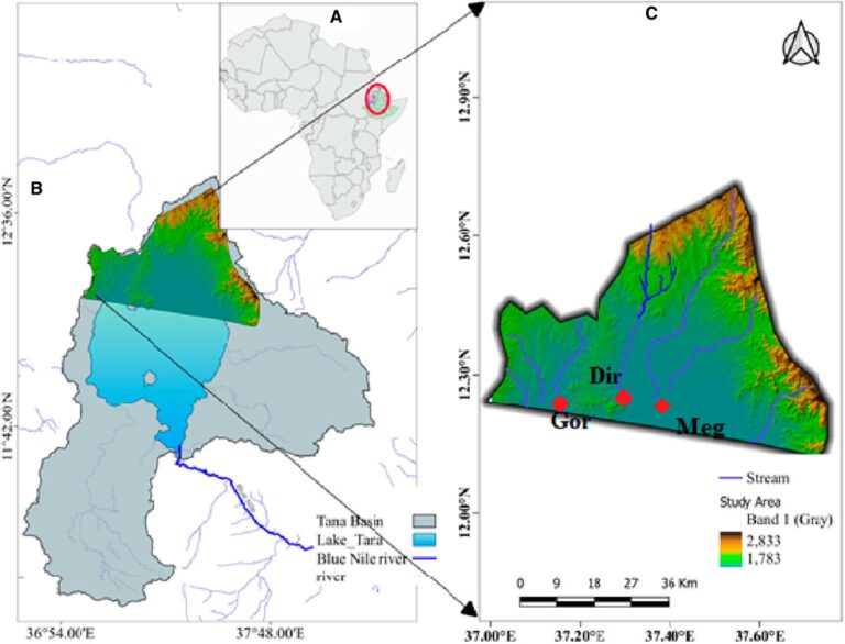 Land Use Changes In The Northern Lake Tana Watershed And