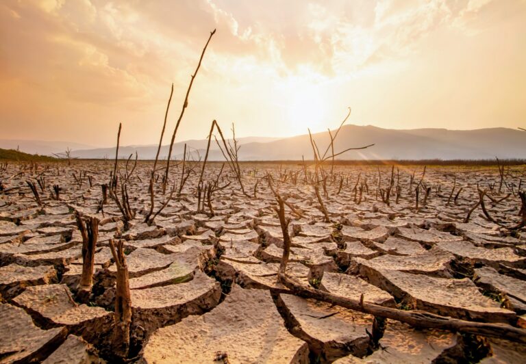 Rising Droughts And Extreme Weather: A Growing Concern