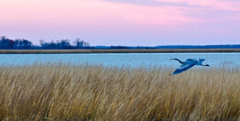 Understanding The Chesapeake Clean Water Blueprint