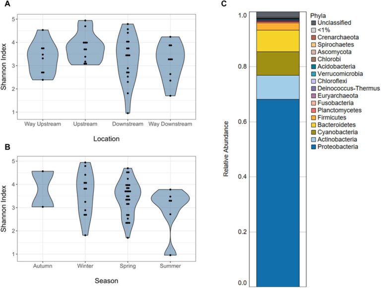 Unveiling Microbial Diversity And Resistance In River Biofilms Through Long Read