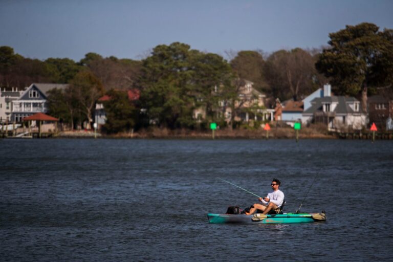 Urgent Action Needed For Chesapeake Watershed Restoration