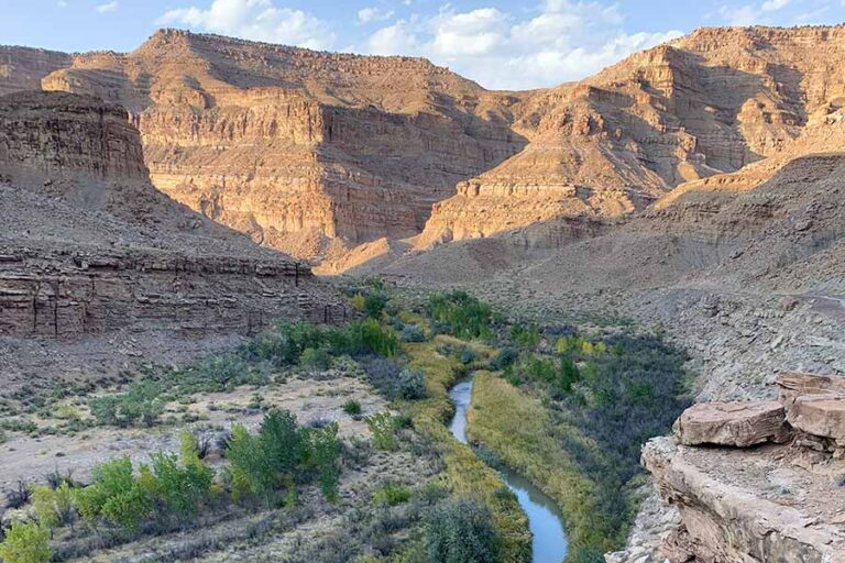 $37.2 Million Federal Grant Boost For Utah Habitat Improvement Projects