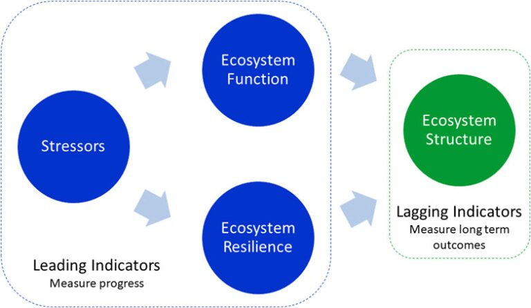 Enhancing River Basin Ecosystems: A Framework For The Mississippi Atchafalaya Region