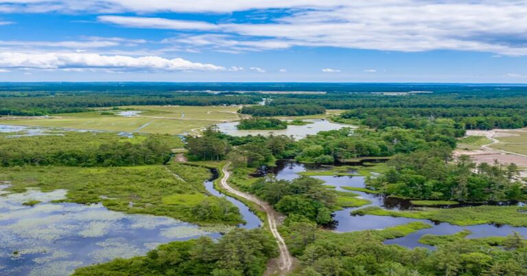 Investing $25 Million In Coastal Wetland Protection And Resilience Building