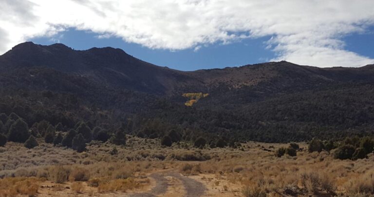 Public Input Needed For Indian Peak Range Watershed Restoration Initiative