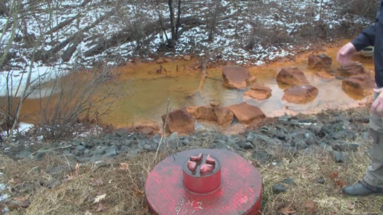 Revitalizing Nanticoke Creek: A Watershed Restoration Project