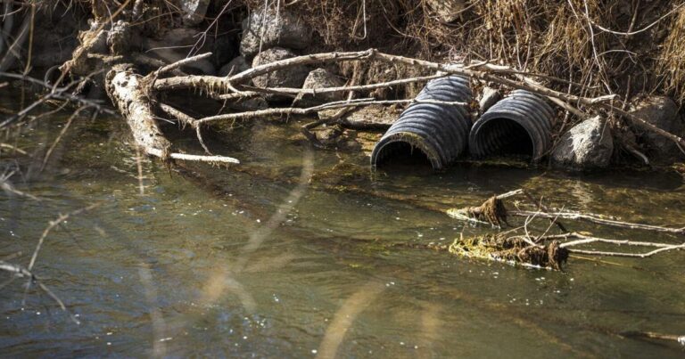 Rock Creek Restoration Plan Presented To Twin Falls City Council