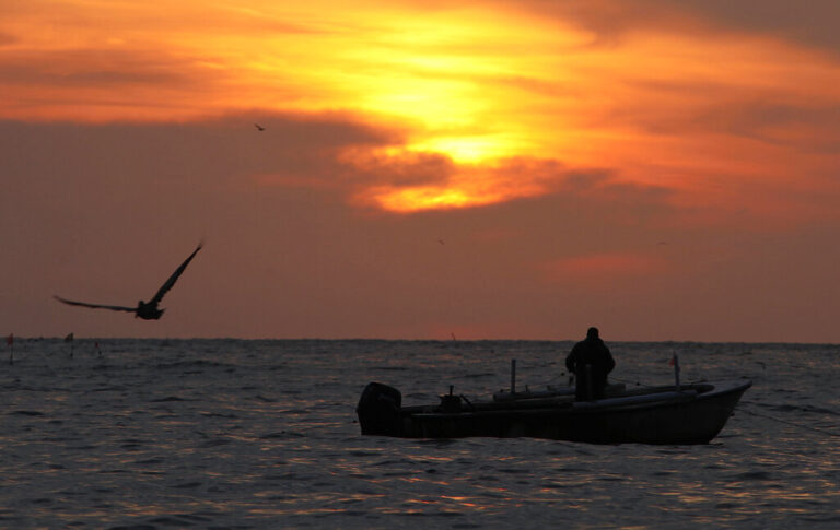 Chesapeake Bay Watershed Receives C Rating In Annual Health Report