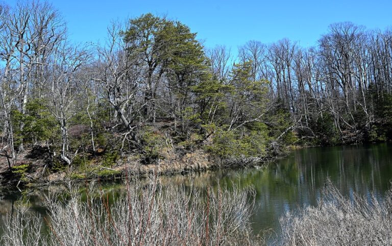 Funding Secured For Environmental Restoration In Anne Arundel Watershed