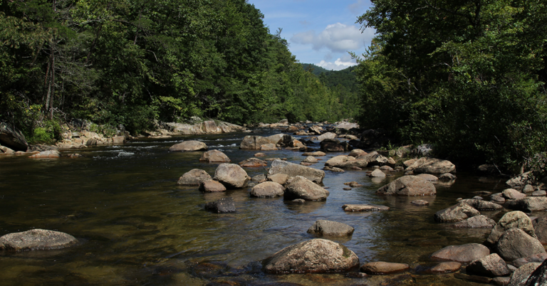 Understanding Watersheds: A Key To Environmental Awareness